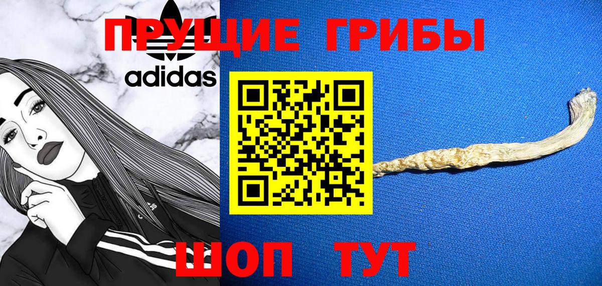 Псилоцибиновые грибы MAGIC MUSHROOMS Златоуст
