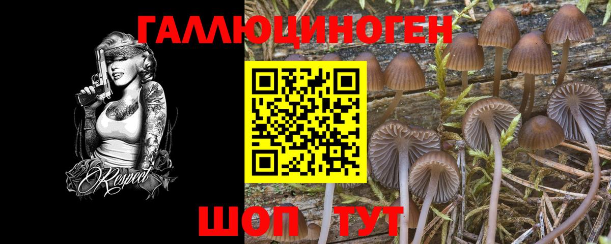 Галлюциногенные грибы мицелий  Галлюциногенные грибы Psilocybe  Златоуст  Вход с VPN 